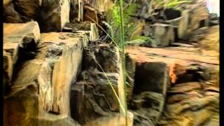 Download lagu Budak Kacamata - Ada Hikmat Tersembunyi mp3 Download lagu Budak Kacamata - Ada Hikmat Tersembunyi mp3