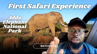 First Safari Experience at Addo Elephant Park 🇿🇦🐘