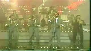 Doce Rosas Lyrics English Translation