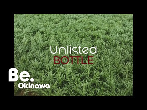 [Short 08] Mizuho Shuzo｜Unlisted OKINAWA｜Be.Okinawa 2023