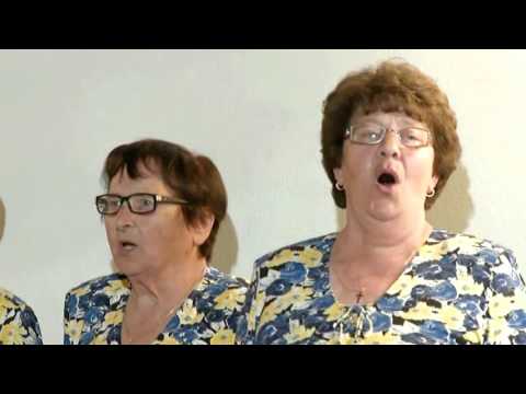 Ljudske pevke Brsljanke   Mladi lovec