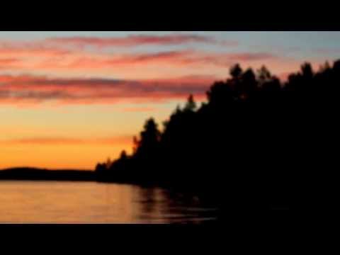 Timi Lexikon - Jälkitauti