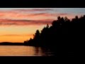 Timi Lexikon - Jälkitauti 