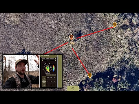 Deer Scouting in Cattail Marsh