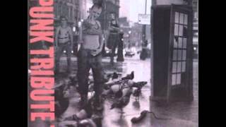 Peter (of the Test tube babies)-&quot;Rock the casbah&quot;