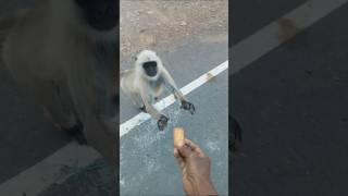 Download lagu #trending#shorts #youtubeshorts #youtube https://youtube.com/shorts/RB71Z-vVvCc?si=oc7iUnItGlxx3R45 mp3