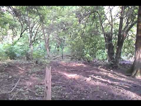 Hektor - vl. Paska Tamas 25.05.2014