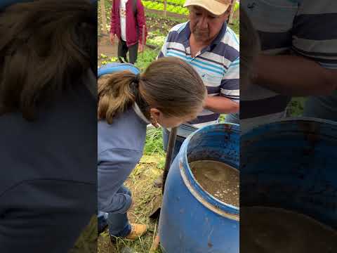 Entrevista agricultor del biopreparado en Silvia Cauca