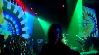 Ozric Tentacles - Kick Muck (live).mov