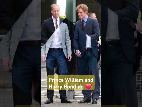 Both Prince William and Harry together ❤️ 💕 #britishroyalty #brotherhood #shorts