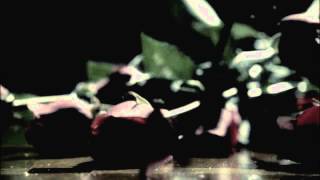 null to the bone ⎮castle & beckett