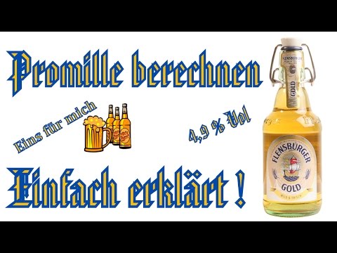 Promille berechnen - einfach erklärt [Deutsch/HD]