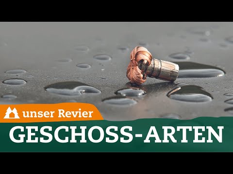 Welche Geschossart eignet sich für die Drückjagd? | Wissen für Jungjäger | unser Revier | #80