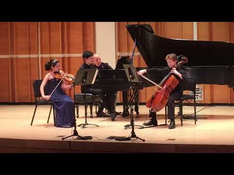 Fauré: Piano Trio in D Minor, Op. 120 first movement