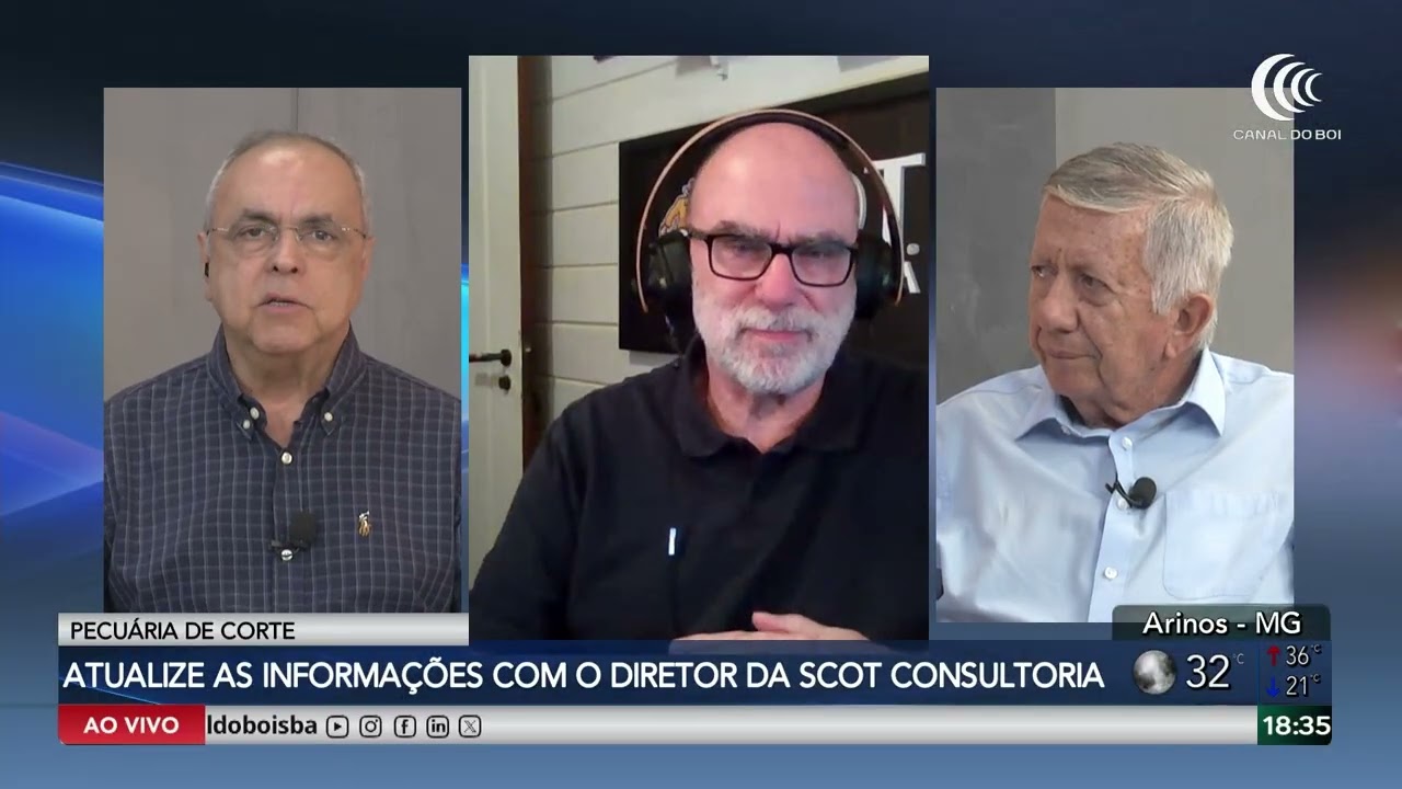 Boi gordo começa a semana com mercado firme e preços estáveis