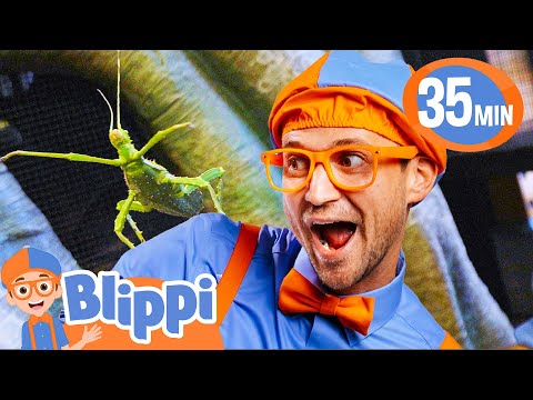 Blippi Spends the Day with Insects at the Zoo! | BEST OF BLIPPI TOYS!