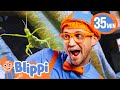 Blippi Spends the Day with Insects at the Zoo! | BEST OF BLIPPI TOYS!