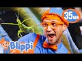 Blippi Spends The Day With Insects At The Zoo BEST OF BLIPPI TOYS