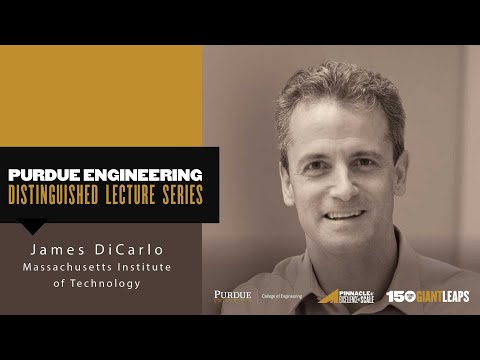 James Dicarlo: "Neuronal Algorithms Underlying Primate Visual Intelligence"