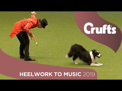 The Greatest Chowman! Epic Heelwork To Music Performance | Crufts 2019