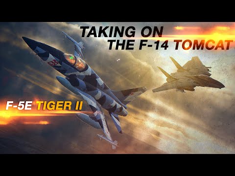 F-5E Tiger tritt gegen die mächtige F-14 Tomcat an | Luftkampf | Digitaler Kampfsimulator | DCS |