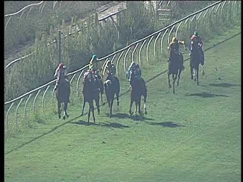 Galoppo 30/08/2017 - 7ª corsa