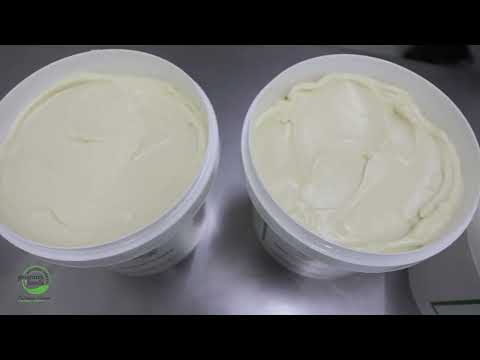 Mayonnaise Powder Mix