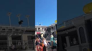 Lido Deck Carnival Firenze Oct. 20th-26th 2025