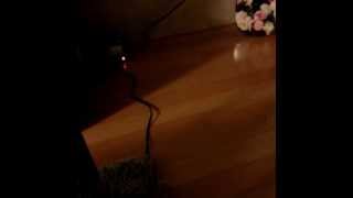 [IG][130901] Seulong -  #ordinary #people #conner #reeves 집구석에앉아서 그냥