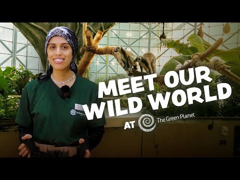 Welcome to The Green Planet Dubai 🌿 | Meet Our Wild World