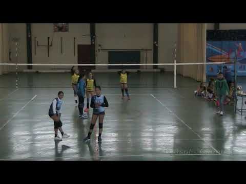 Partido VOLEIBOL ALEVIN FEMENINO Cajasol - Fuentes de Andalucía PROMESAS 18/19