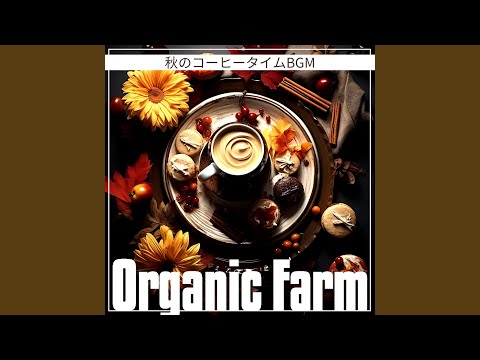 コーヒーかす、堆肥、落ち葉：イロハモミジに最適な肥料は何ですか?この美しい木をどうやって元気づけるのか？  庭園