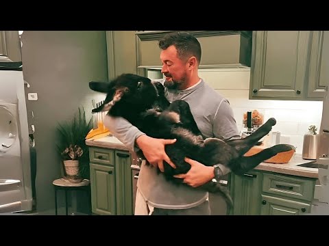 So hat ein Esel namens Cash mein Leben verändert!