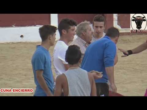 REVOLCÓN TORERO  VAQUILLAS HELLIN 2017