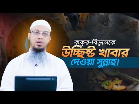 বেঁচে যাওয়া খাবার ফেলে না দিয়ে কুকুর-বিড়ালকে খাওয়ালে যে সওয়াব মেলে | Shaikh Ahmadullah