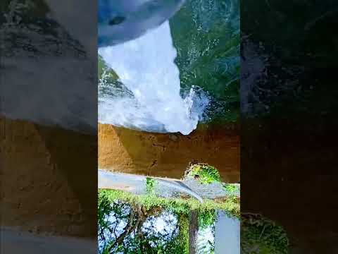 shorts videos #vairal