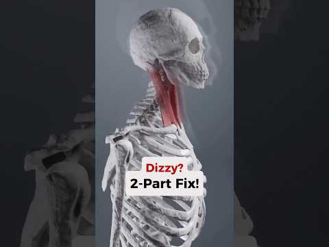 The SCM muscle could be the reason you’ve been feeling dizzy! #dizzy #dizziness #headaches #tmj #jaw