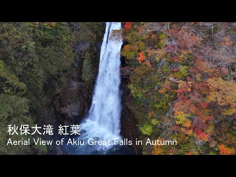 [4K] 🍁🚁秋保大滝 紅葉絶景 / Aerial View of Akiu Great Falls in Autumn