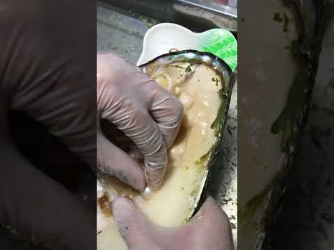 To show you the fresh water pearls we have grown for 8 years, we can take out a lot of pearl