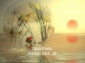 Suncokret - USPAVANKA 