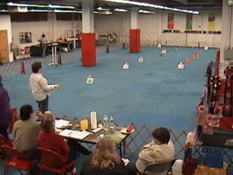 Two APDT Rally Trials in One Minute PCRE-SITT