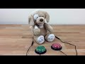 Switch Adapted ABC 123 Spunky The Dog