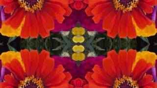 I&#39;ve Got A Feeling (by Bert Jansch, John Renbourn &amp; Jacqui McShee live in NYC 1992)