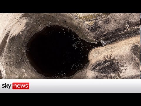 Drought 'the new reality' of climate change