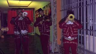 Video de MARIACHI NEIVA 