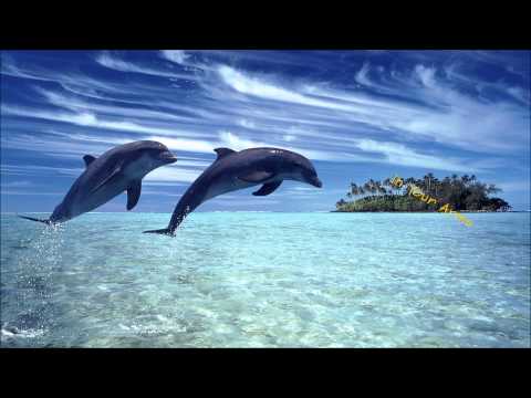 Andy Moor ft. Jessica Sweetman - In Your Arms