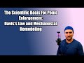 Why Penis Enlargement Works... Biologically Speaking - The Gist