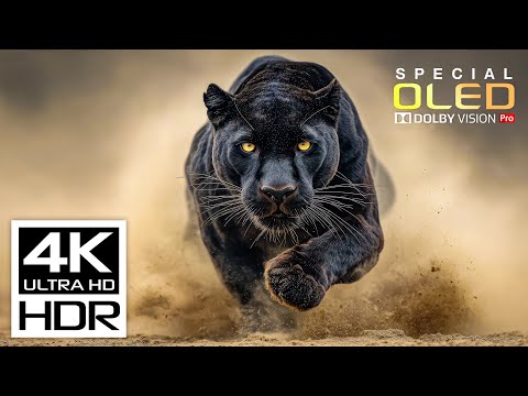 Unbelievable Video 4K HDR ULTRA HD 120 fps | Dolby Vision (8K/4K Video TV)