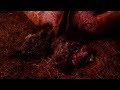 Сектор Газа - Грязная кровь(OST "Зловещие мертвецы") 