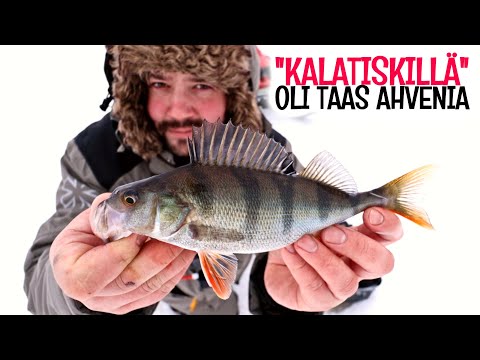 TASURILLA TULEE AHVENTA!